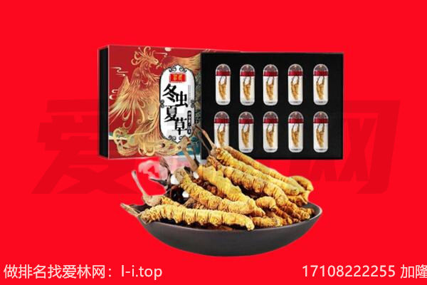 崇左回收虫草.jpg